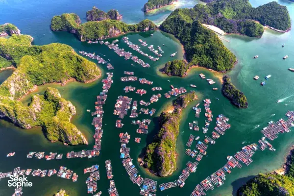 Free Climbing & Cliff Jumping in Lan Ha Bay | Deep Water Solo