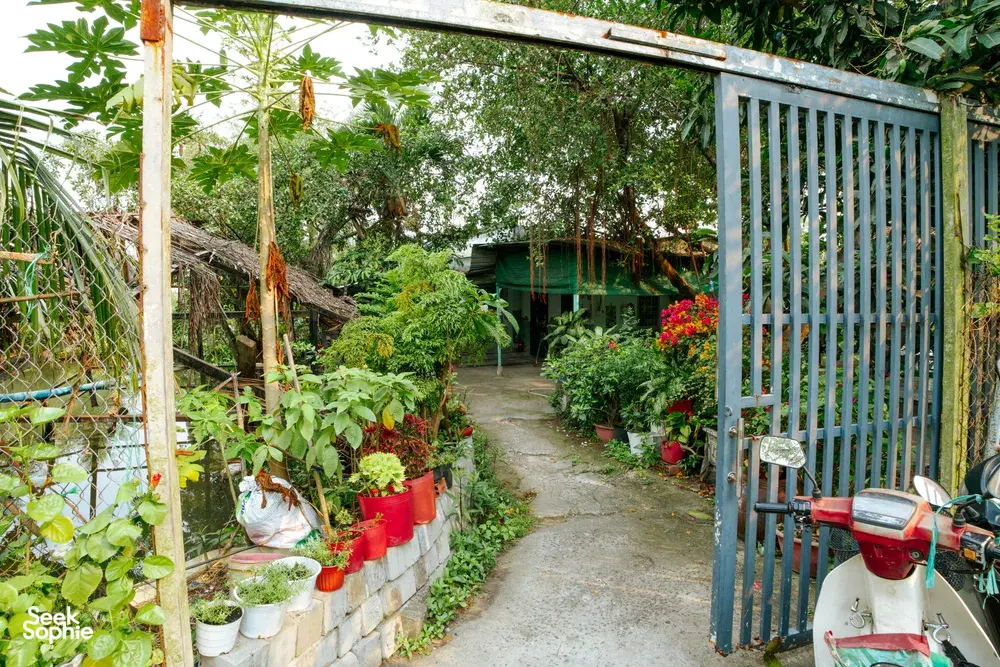 Seek Sophie option picture