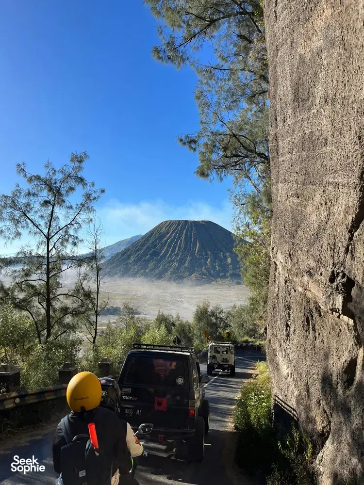 Seek Sophie option picture