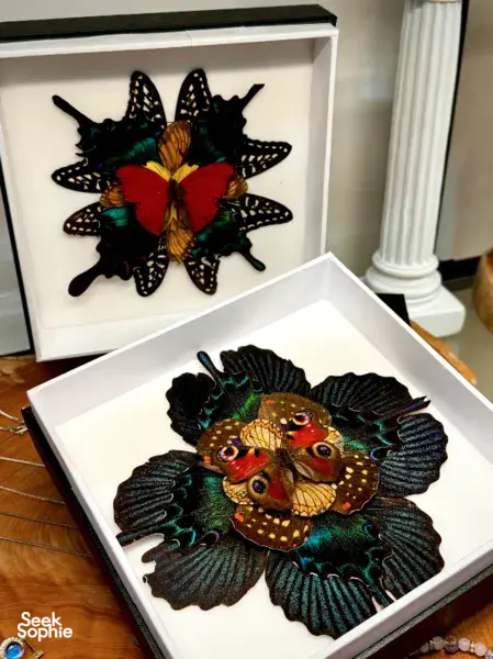 Transform Butterfly Wings into a Stunning Mandala Artwork