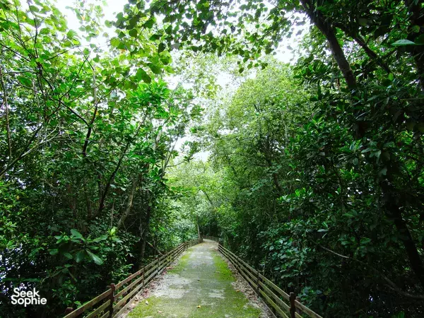 Jelajah Lahan Basah Privat dengan Pemandu di Sungei Buloh