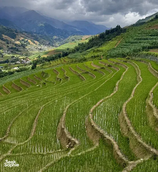  2D1N Private Sapa Highlights Trek & Homestay 