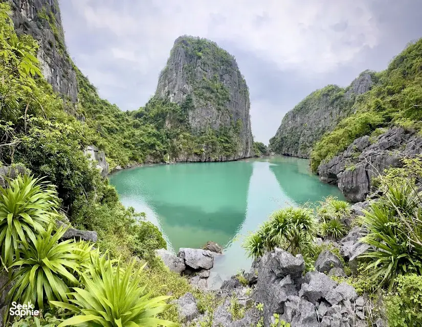 Seek Sophie option picture