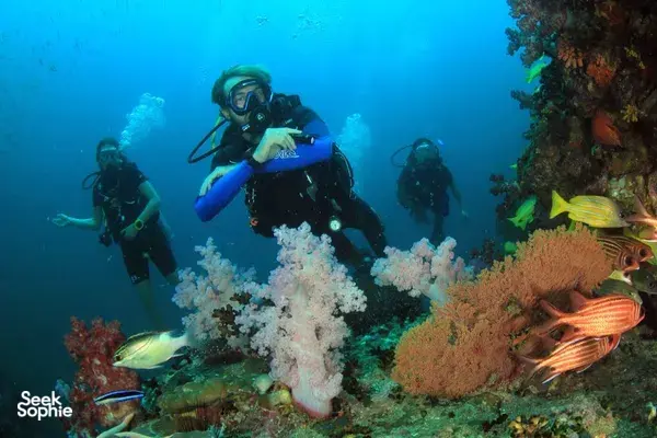 4D3N Scuba Liveaboard in North Andaman with Comfy AC Cabins | 10 Dives