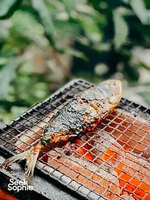Japanese Style BBQ in Lush Bukit Timah Jungle