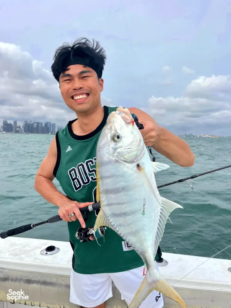 Seek Sophie option picture