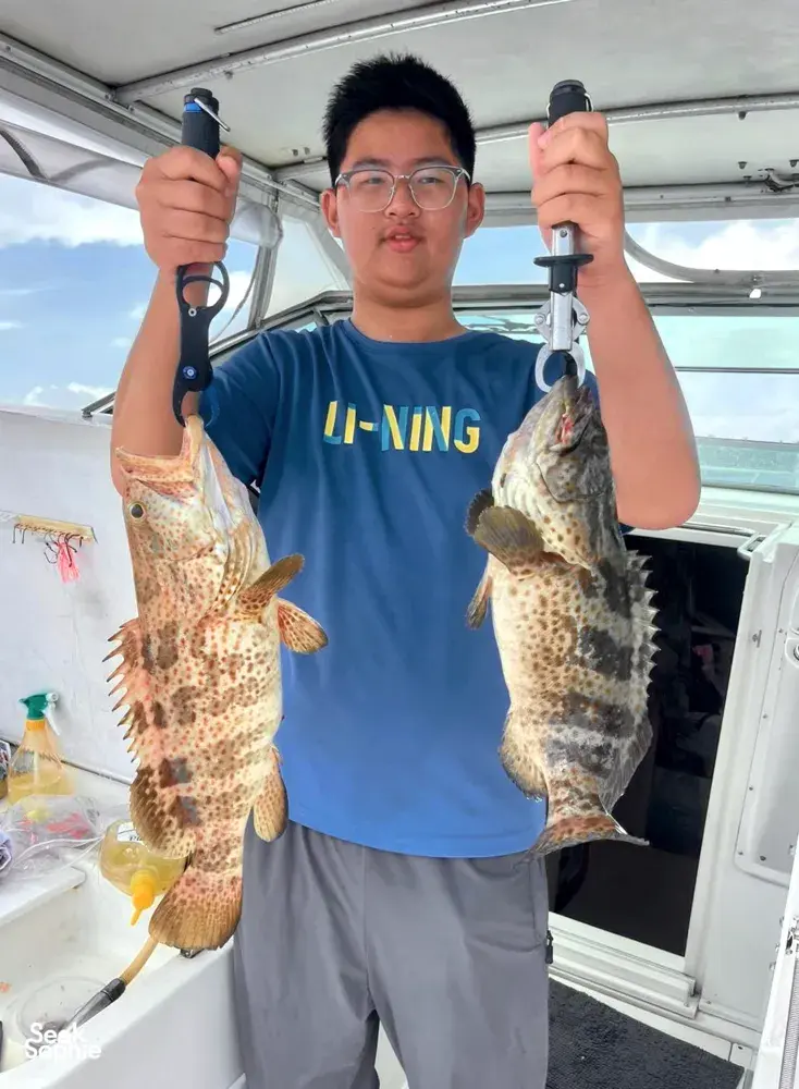 Seek Sophie option picture