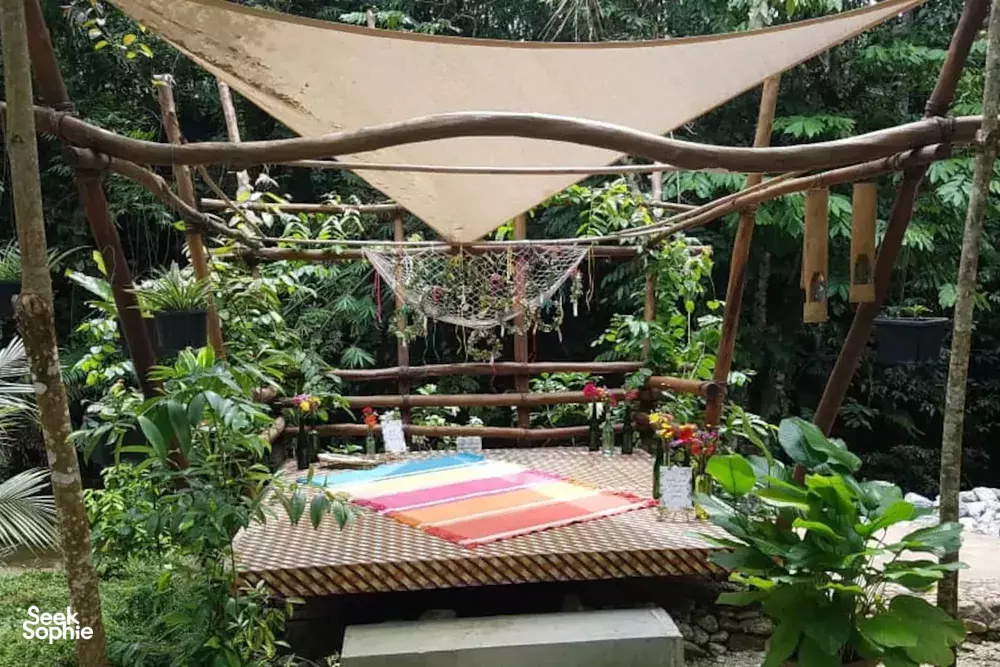 Seek Sophie option picture