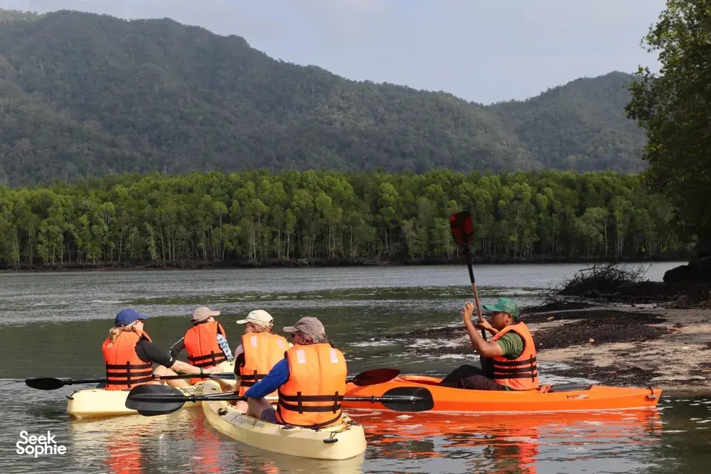 Kayakers in bright life jackets paddle across calm mangrove waters near Kubang Badak, Langkawi, on an eco-guided swim