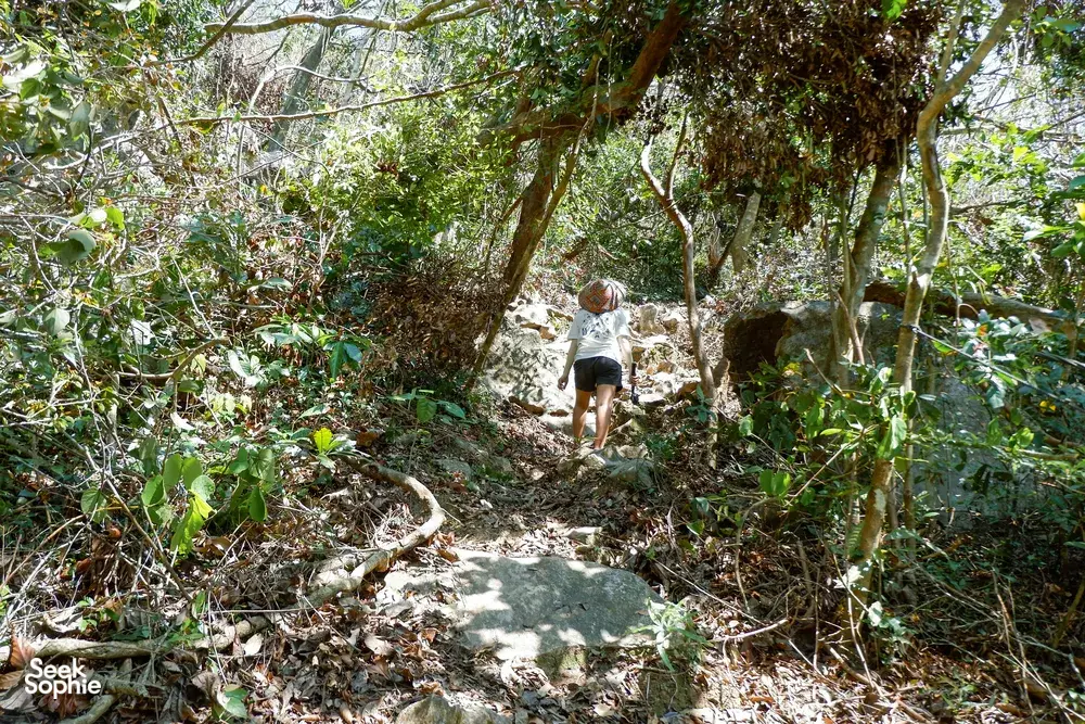 Trekker follows a rocky trail through lush forest with Tung, local guide, on a panoramic hike in Cat Ba