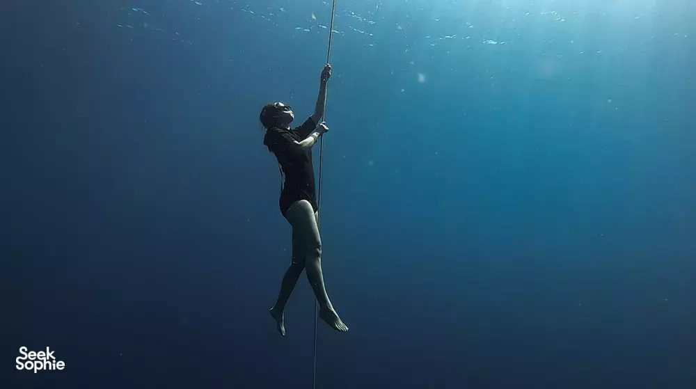 Seek Sophie option picture