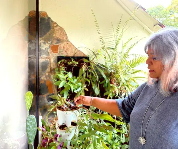 Gastrogeography of Singapore host tending potted edible plants in a sunny garden, preparing ingredients for bread and dips in Singapore