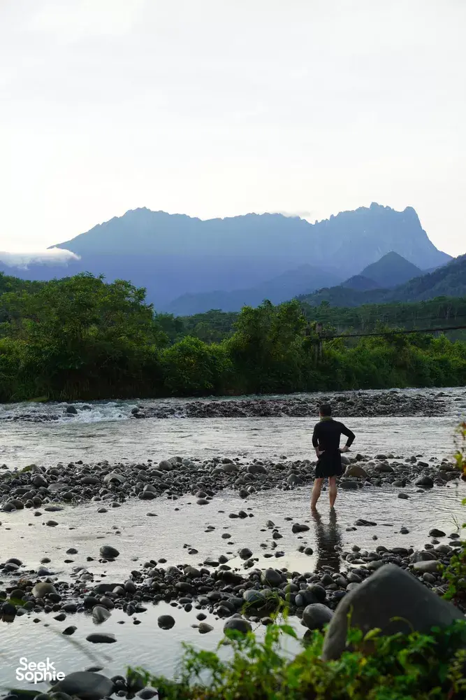 Seek Sophie option picture