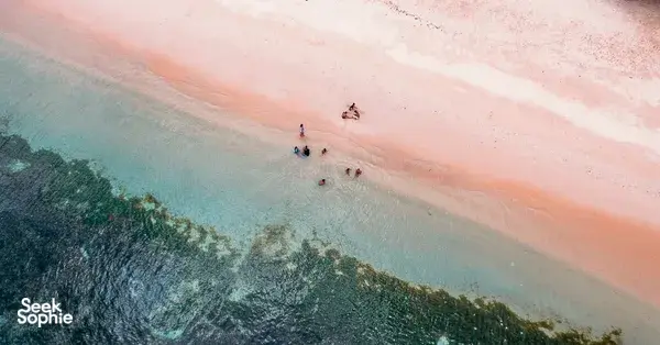 Island-Hopping & Snorkeling Trip | Discover Lombok’s Pink Beache