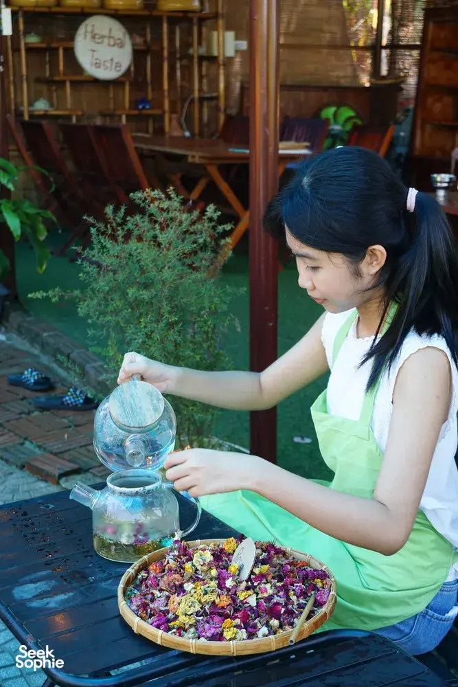 Seek Sophie option picture