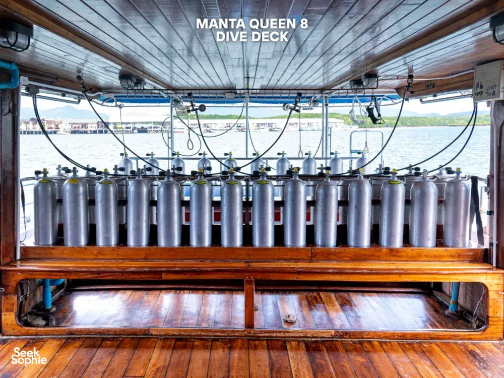 Seek Sophie option picture