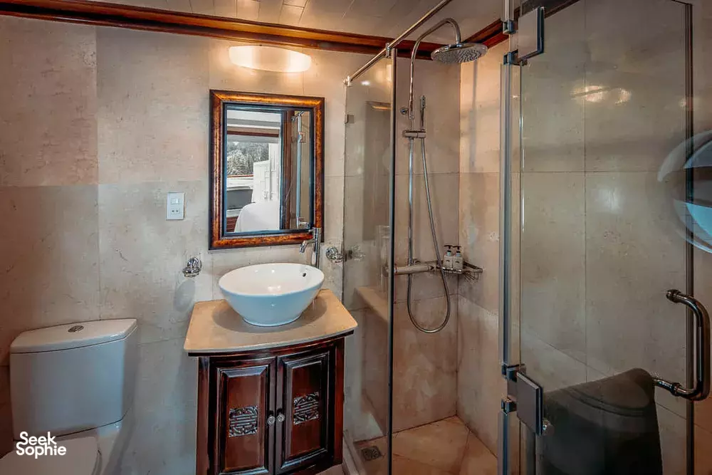 Seek Sophie option picture