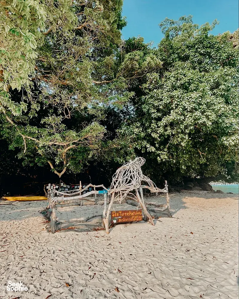 Seek Sophie option picture