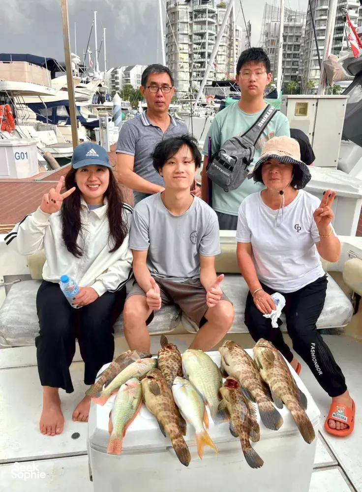 Seek Sophie option picture