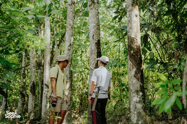 Travellers walking a forest trail beside tall trees with trekking gear in Kota Kinabalu during a Dusun village stories visit