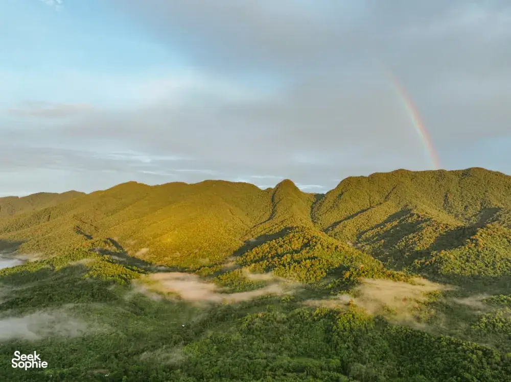 Seek Sophie option picture