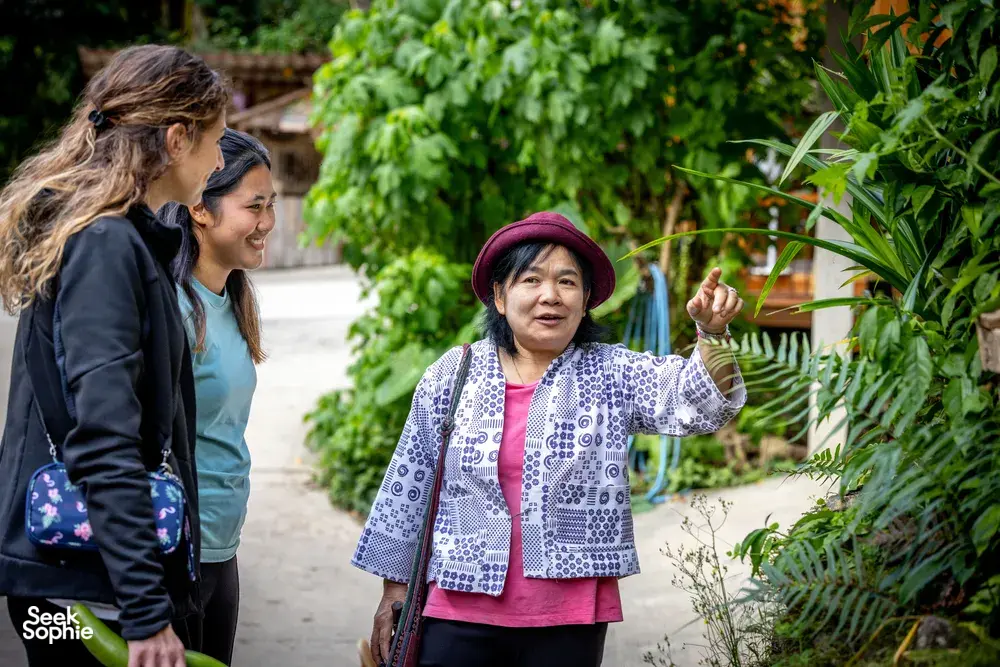 Local guide gestures as a group learns about herbs in Mae Kampong, Chiang Mai, during an eco forage-to-table cooking class