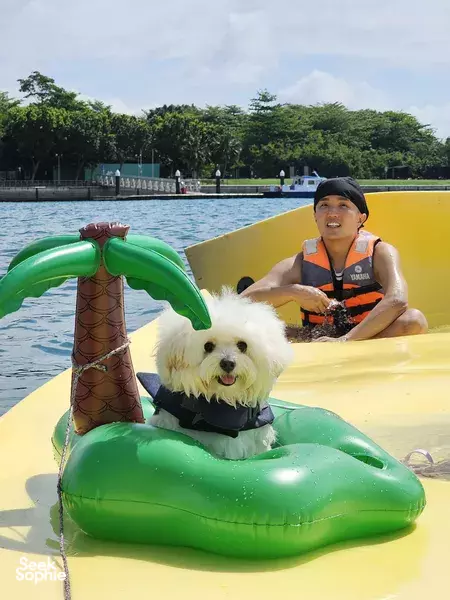 4 Hour Yacht to Lazarus | Complimentary Decor for Special Occasions!