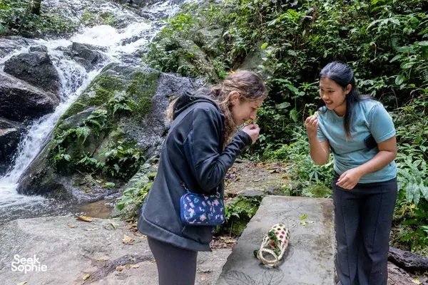 Foragers examine wild plants by flowing water and stones near a jungle waterfall in Mae Kampong, Chiang Mai