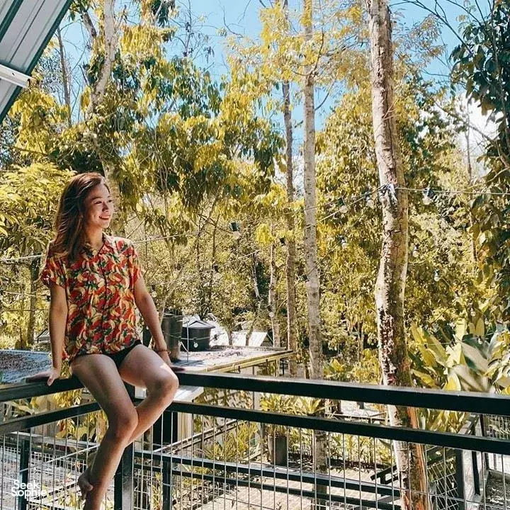 Seek Sophie option picture