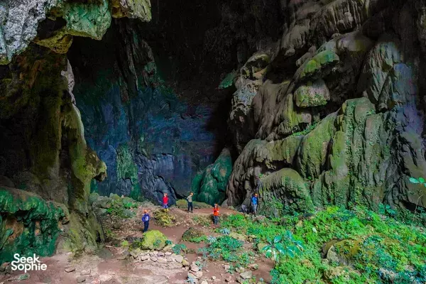 Phong Nha Day Trek with Cliff Jumping & BBQ | Dong Hoi Free Pick Up 