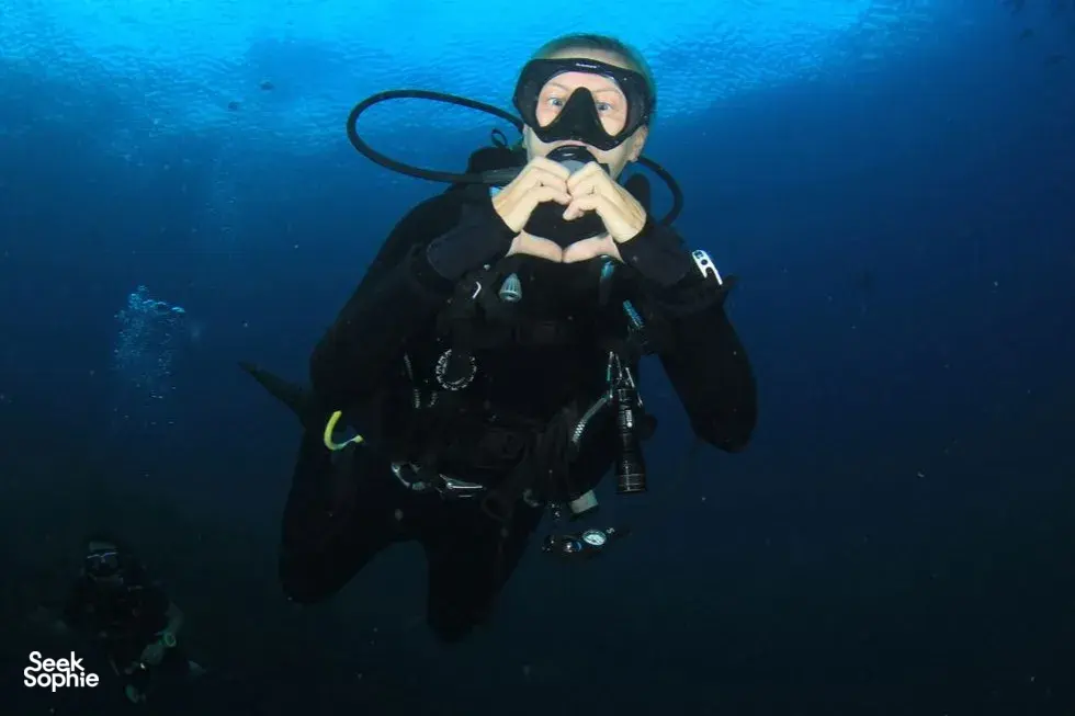 Seek Sophie option picture