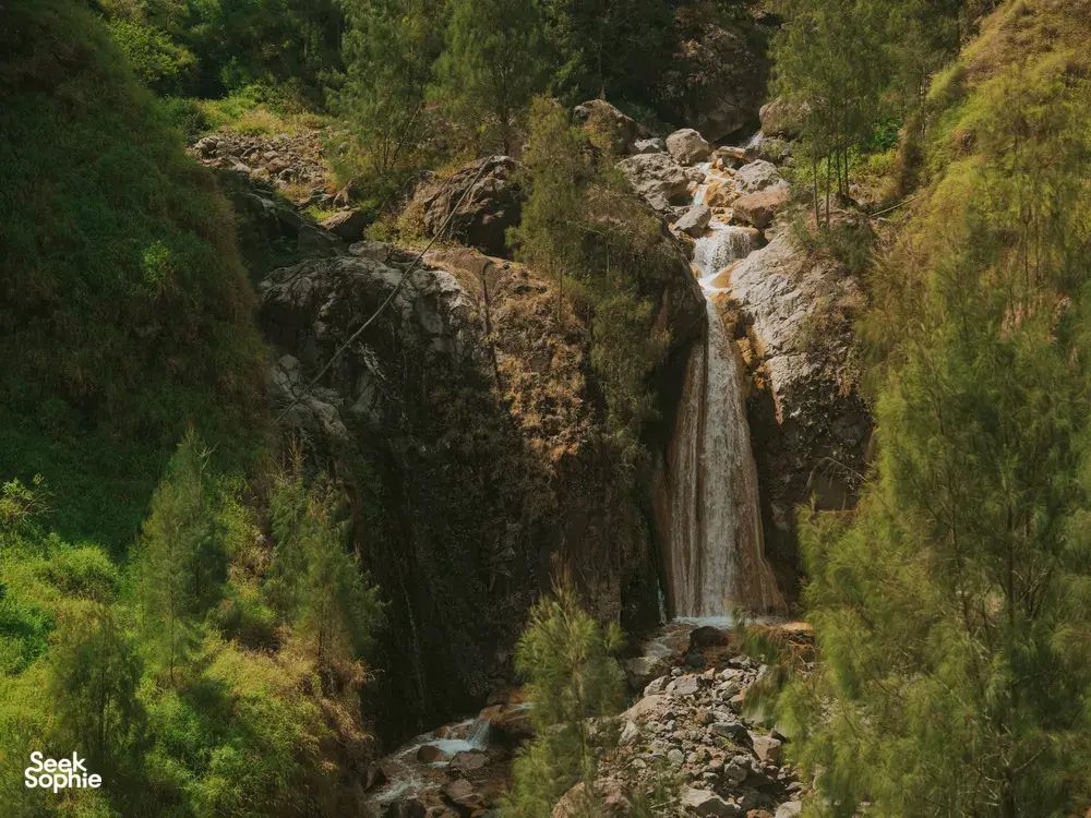 Seek Sophie option picture