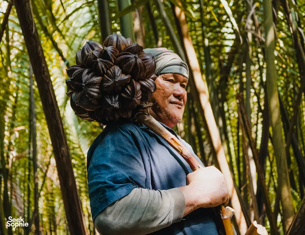 古晋丛林中的 Tanoti Crafts 手艺人肩扛一大串沉甸甸的糖棕果,用来制作棕榈糖