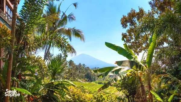 2D1N Mt Batukaru Summit w/ Camping