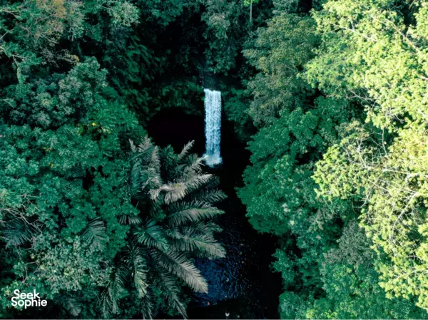 Hidden Ubud Waterfalls with Lunch Overlooking Falls!