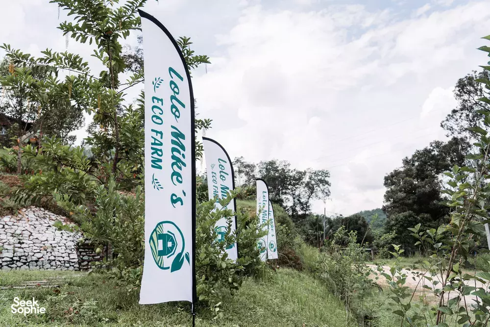 Seek Sophie option picture