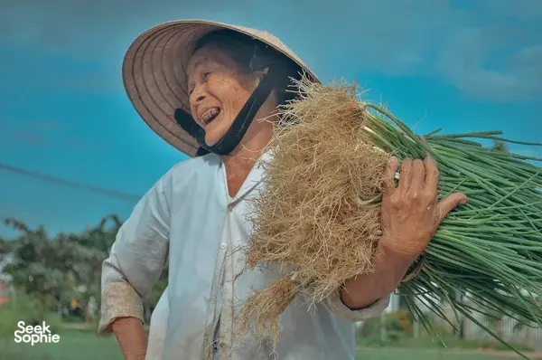 Vespa Ride To Hanoi Countryside Villages & Ancient Mythical Citadel