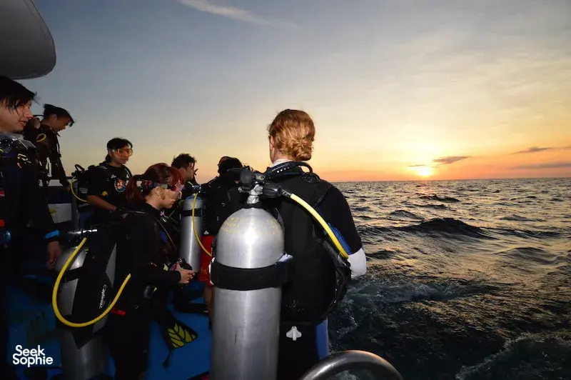 Seek Sophie option picture