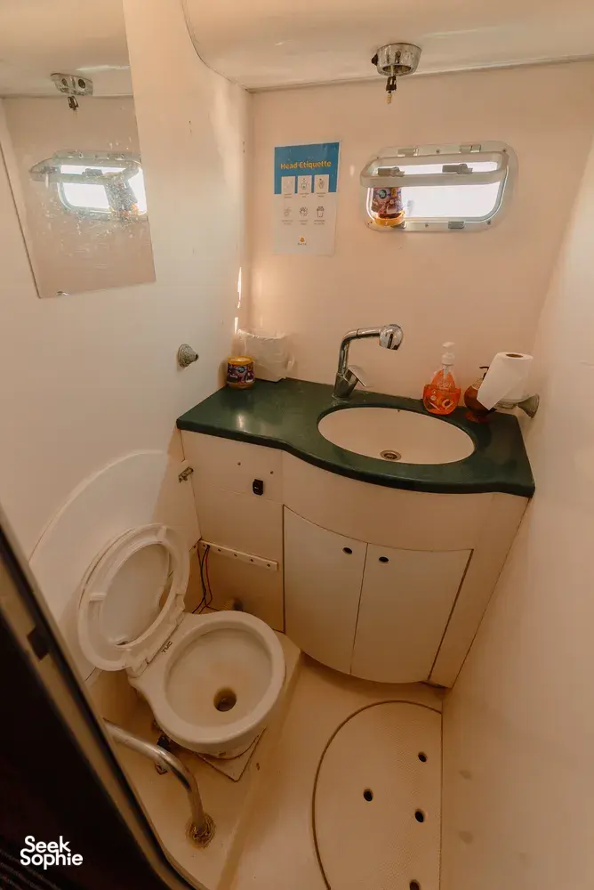 Catamaran bathroom on Mawali in Kota Kinabalu, Sabah, with a green-trimmed sink and toilet for sailing comfort