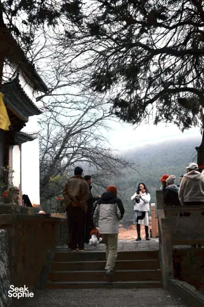 游客沿着传统建筑旁的石阶向薄雾中的山丘走去,地点在大理沙溪,是一场 2天1夜生态静修的一部分