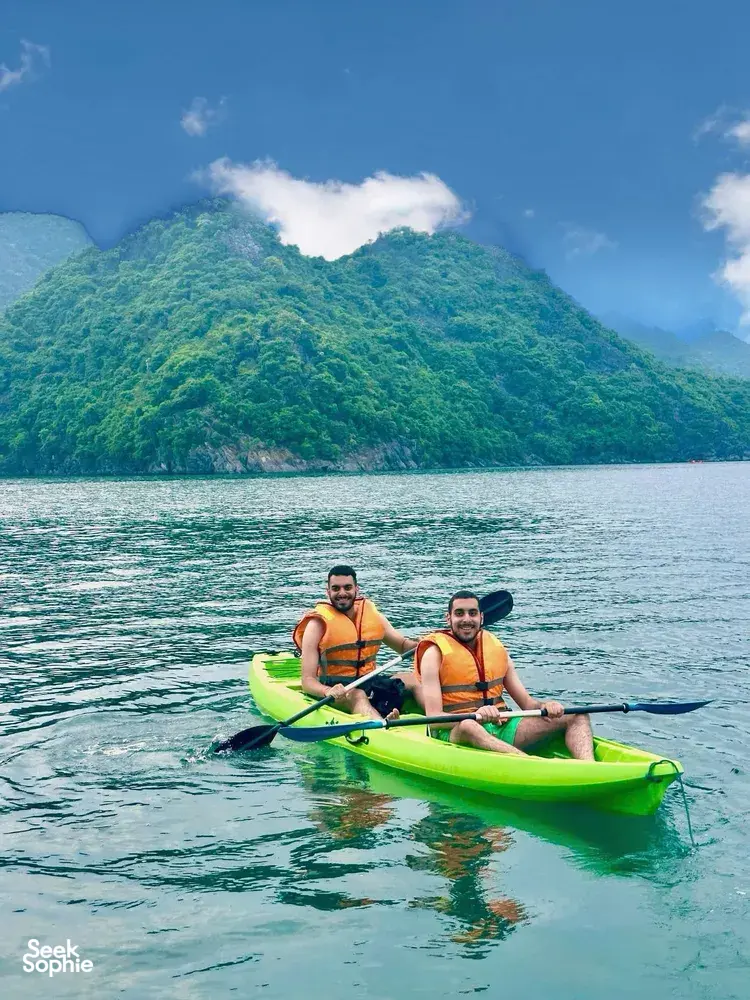 Seek Sophie option picture