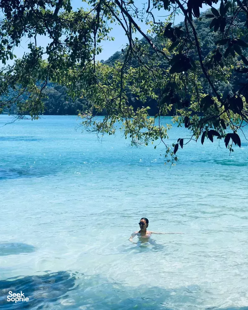 Seek Sophie option picture