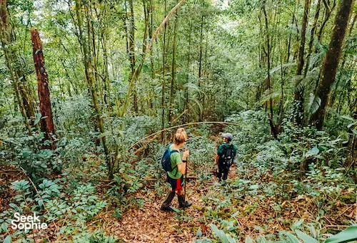 1 Day Kinabalu Foothills Jungle Trek + Dusun Village Lunch