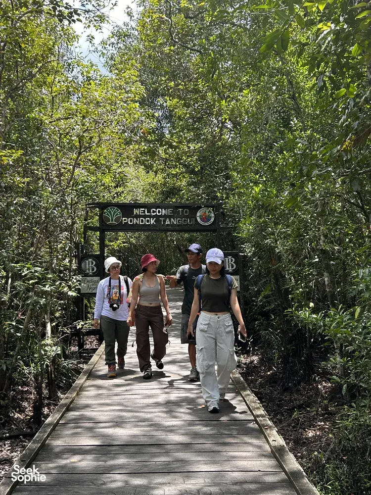 Seek Sophie option picture