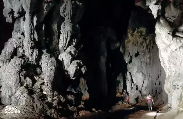 Petualangan Bersepeda Hutan, Tambang Emas & Orangutan