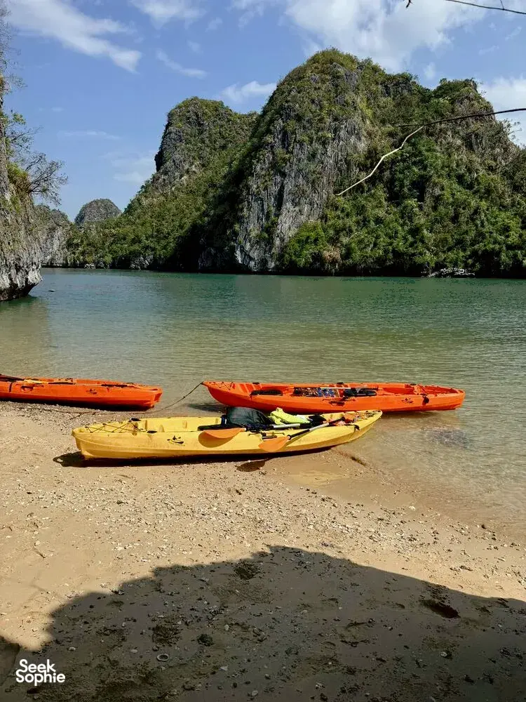 Seek Sophie option picture