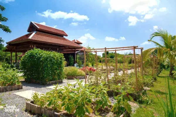 Thai Granny Cooking at a Peaceful Farm Retreat