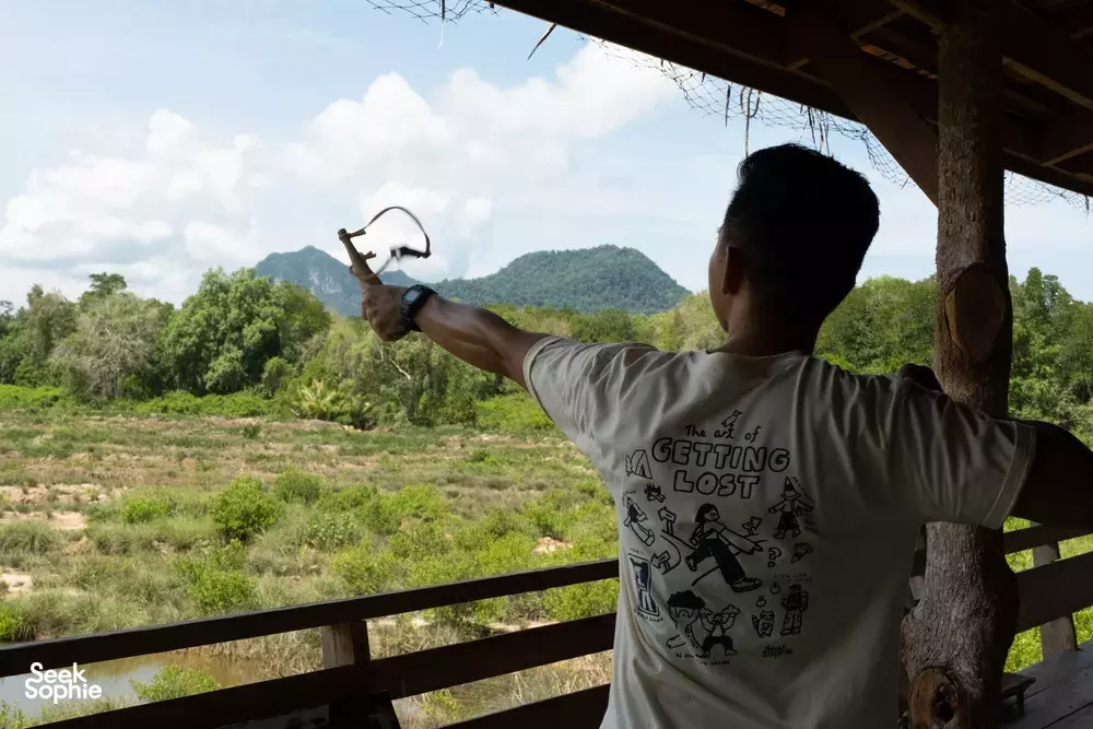 Seek Sophie option picture