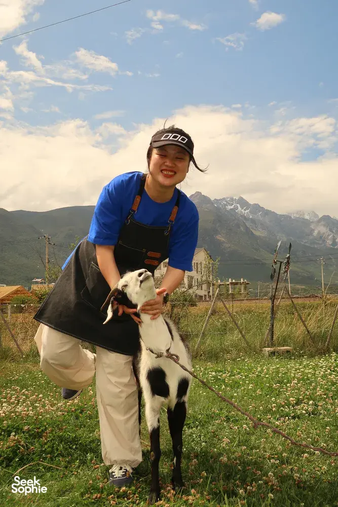 Seeker Yunnan Coffee Estate host in a blue apron holding a black-and-white goat on a mountain coffee farm in Lijiang