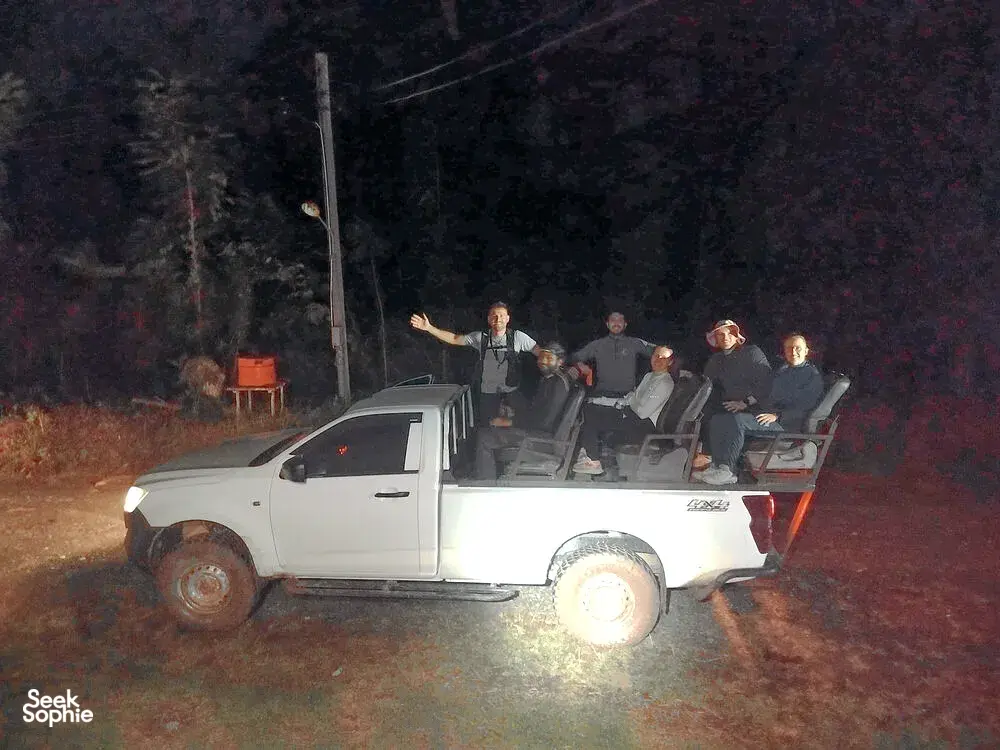 Seek Sophie option picture